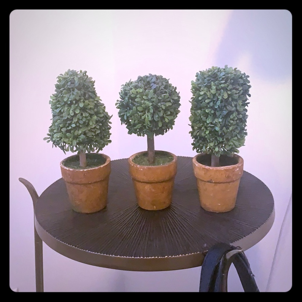 Set of 3 mini trees